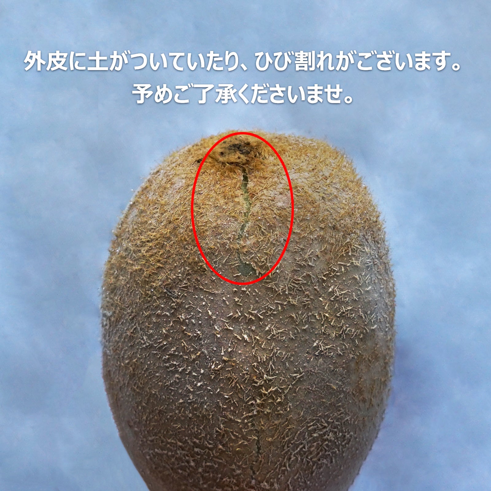 有機 JAS オーガニック キウイ 無農薬 化学肥料不使用 国産 ひび割れあり (1kg) ホライズンファームズ