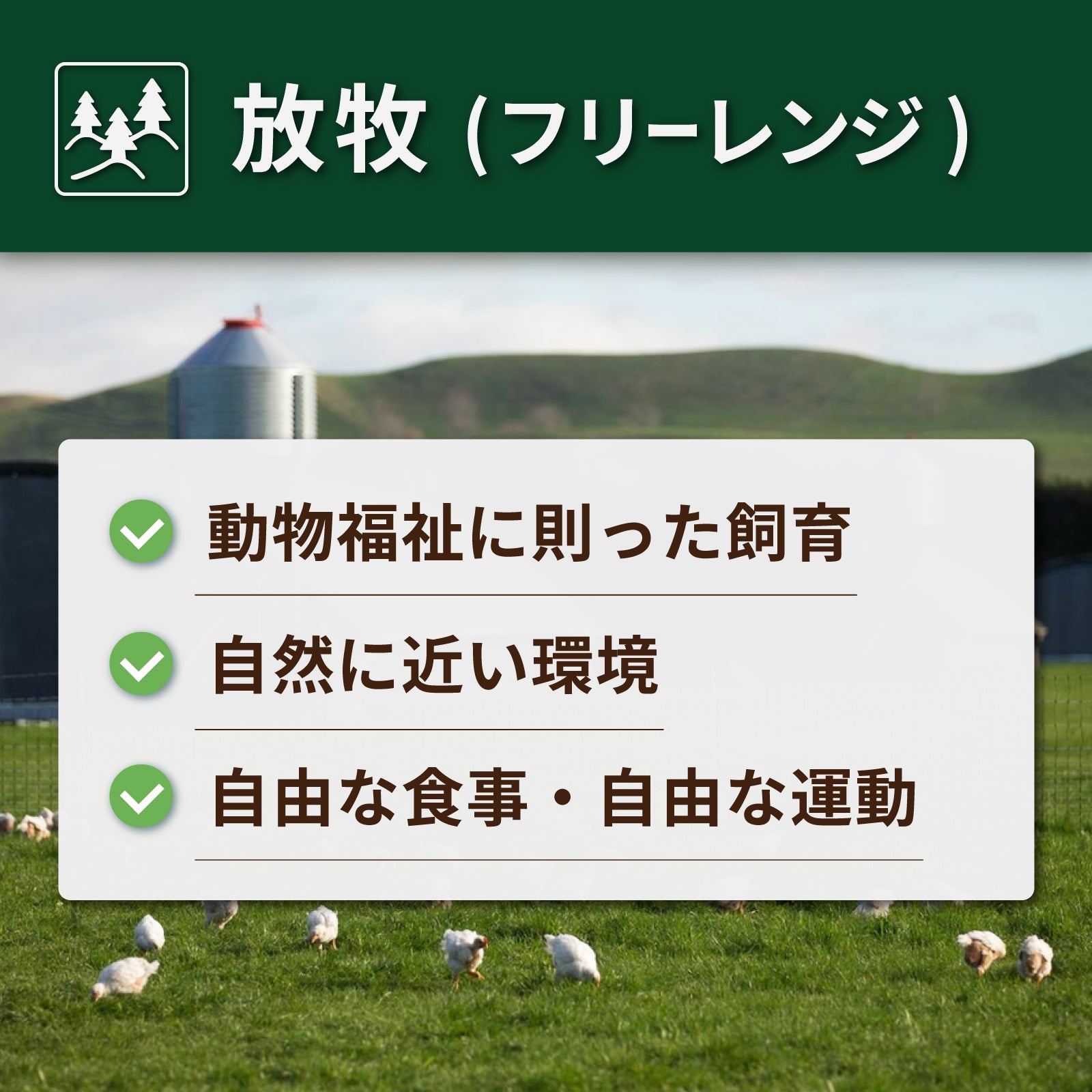 放牧豚 ロース 薄切り 生姜焼き (300g) ホライズンファームズ