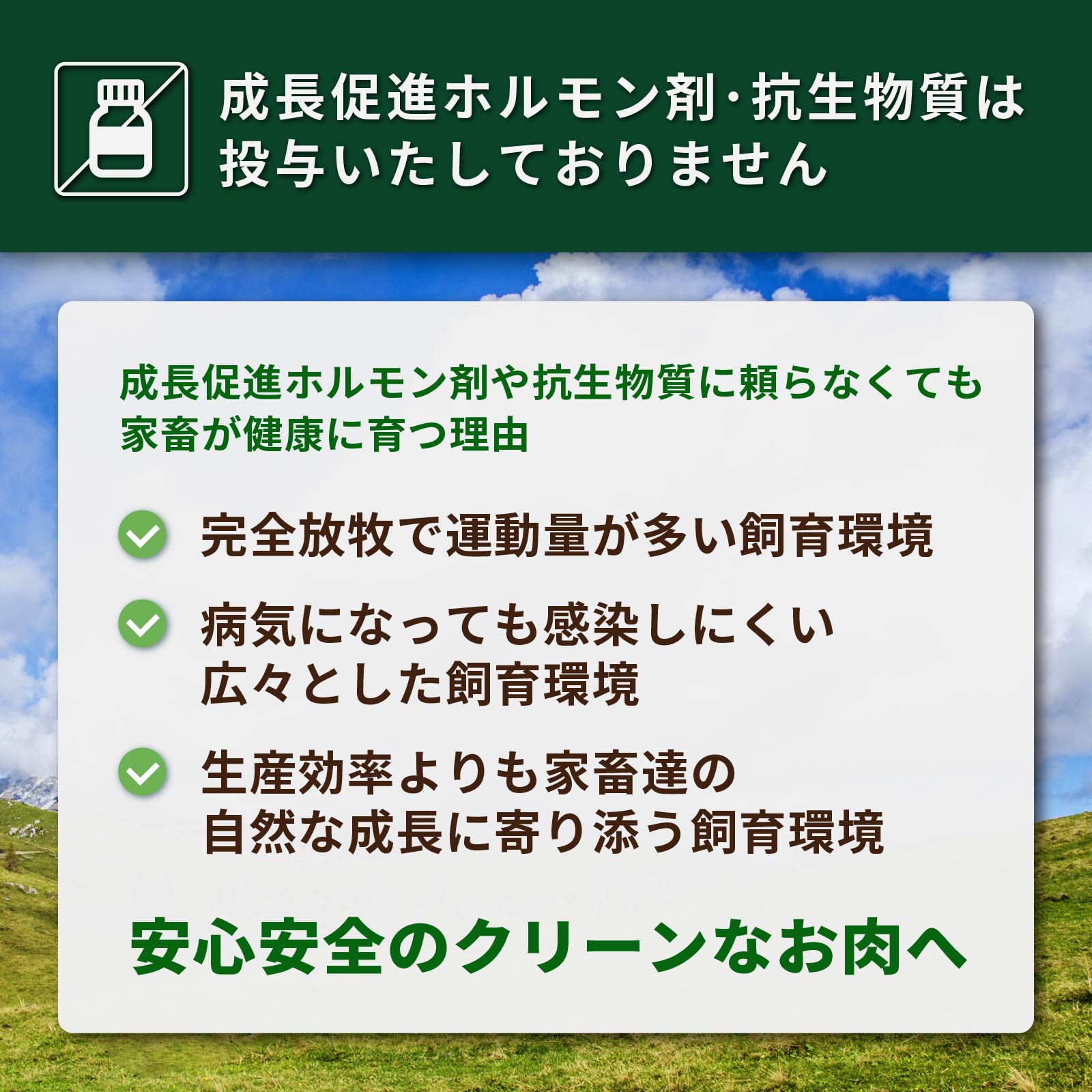 無添加 保存料不使用 グラスフェッドビーフ ビルトン ジャーキー オーストラリア産 (30g) ホライズンファームズ