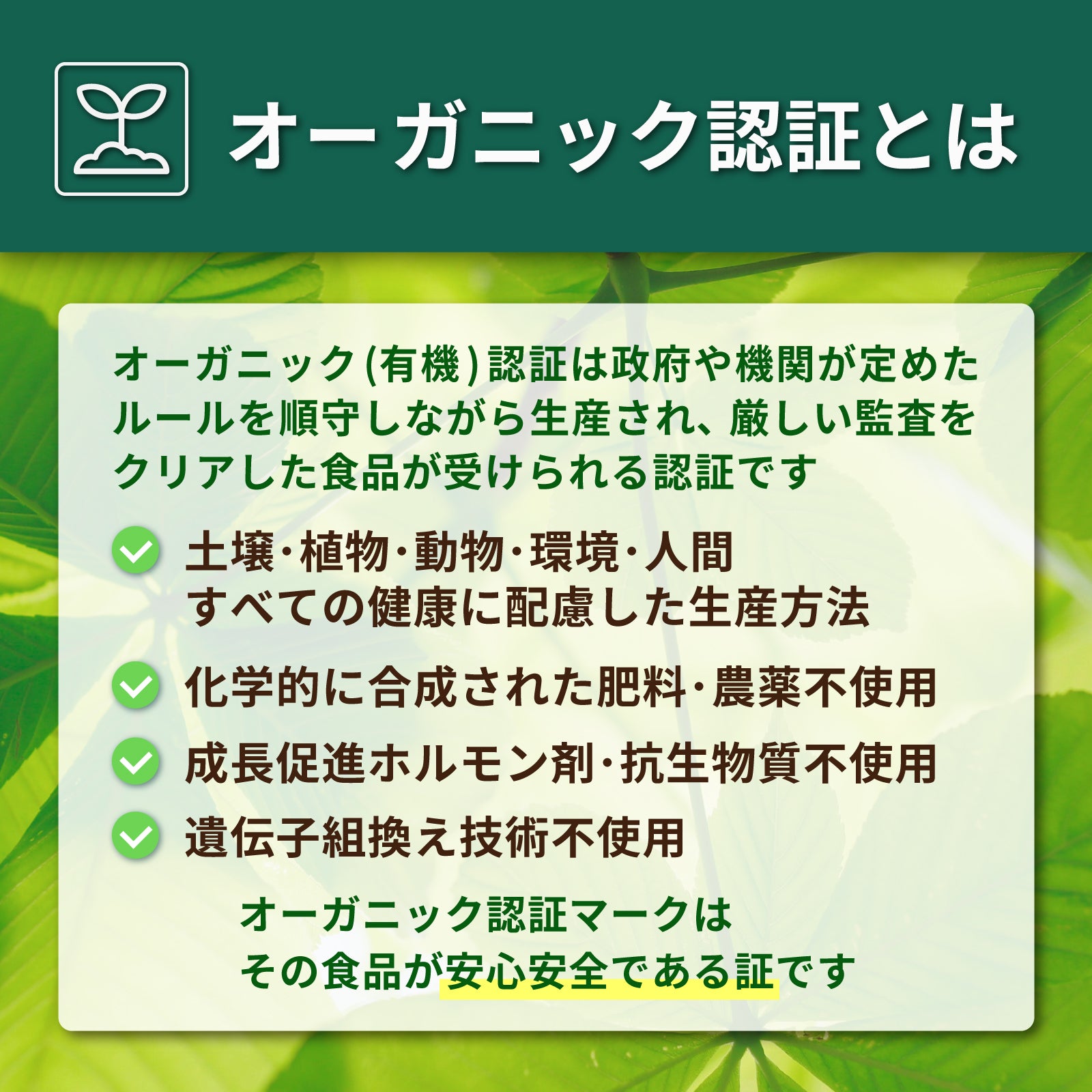 有機 JAS オーガニック 無添加 保存料不使用 グラスフェッドビーフ ストック パウダー 粉末タイプ (160g) ホライズンファームズ