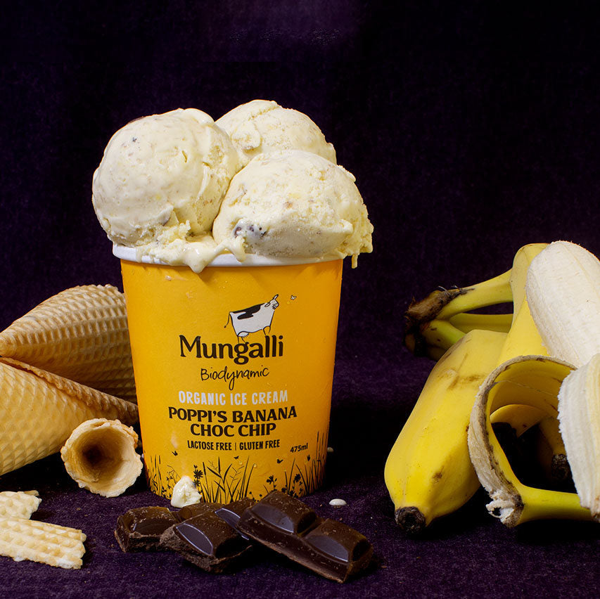 アイスクリーム　有機　オーストラリア産　チョコチップ　バナナ　JAS　ナチュラル　オーガニック　(475ml)